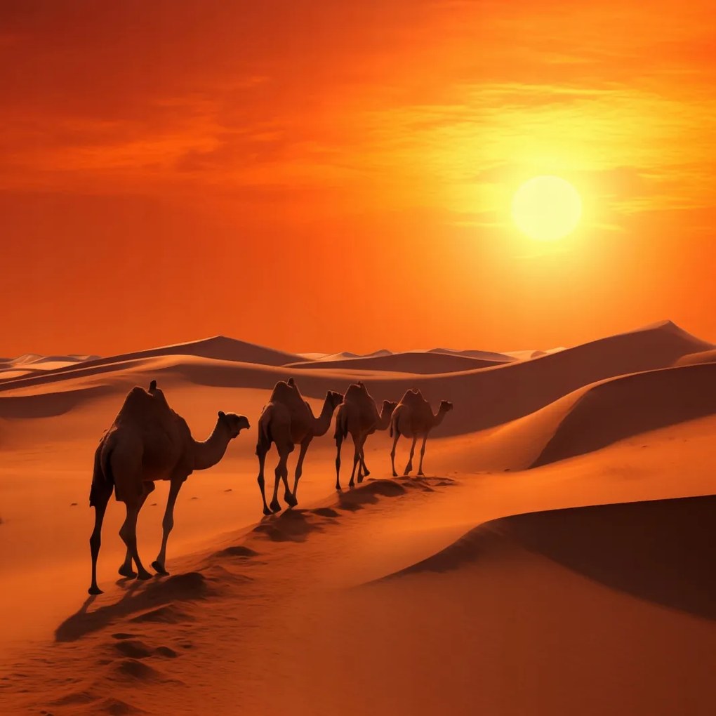 Poszter 20x20cm Karaván a sivatagban