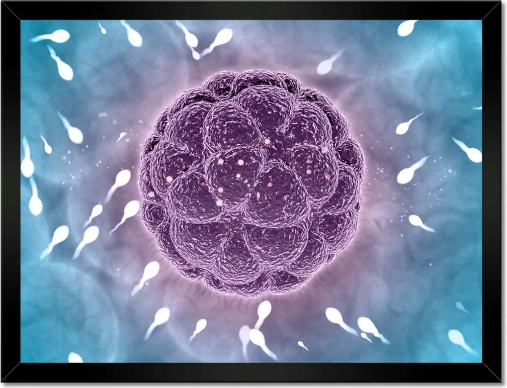 Poszterek keretben 40x30 Ne maradj le