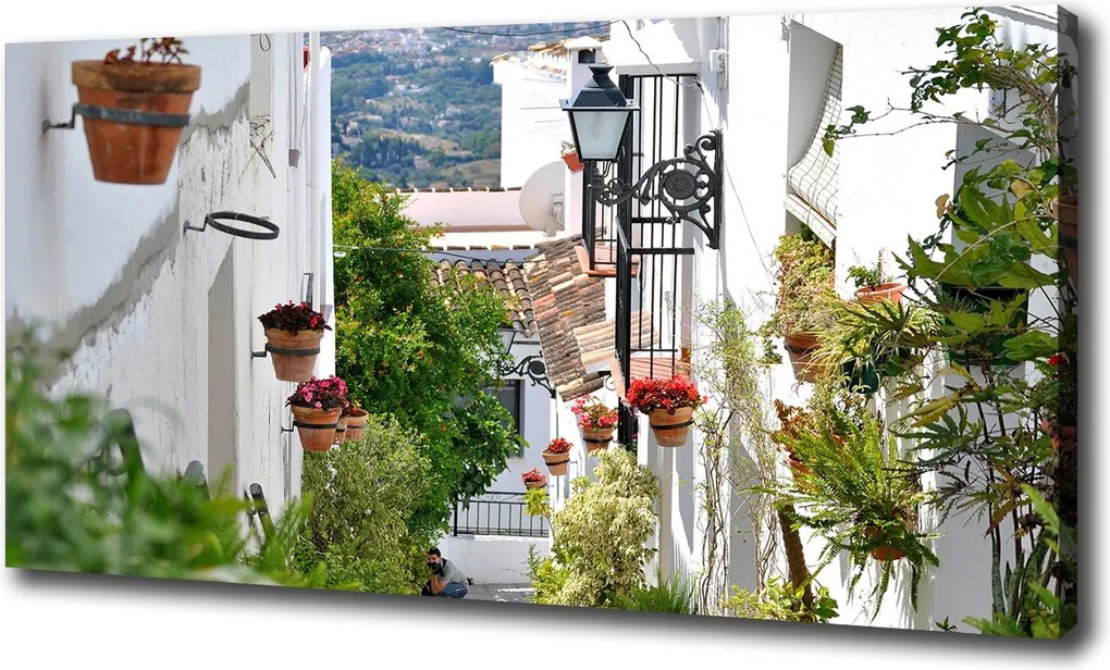 Vászonkép Bájos utca 100x70 cm