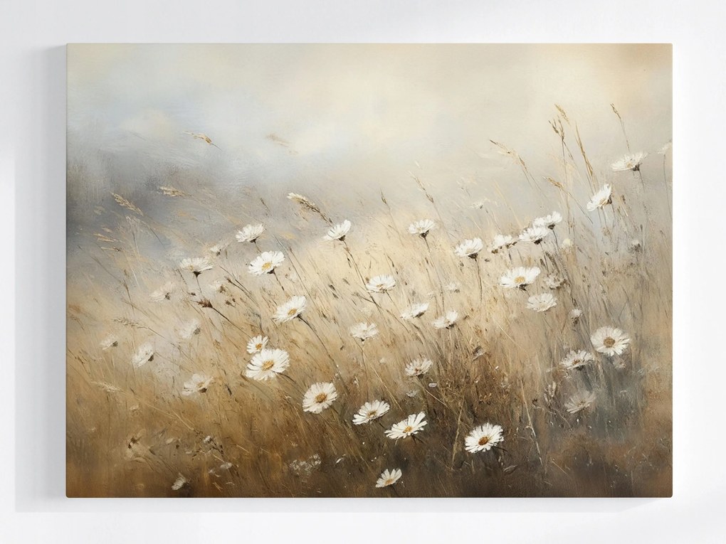 Vászonkép Canvas Természet Szabadban Rét Virágok Margaréták 80x60