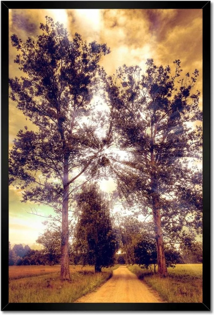 Poszterek keretben 40x60 Vidéki tájkép úttal