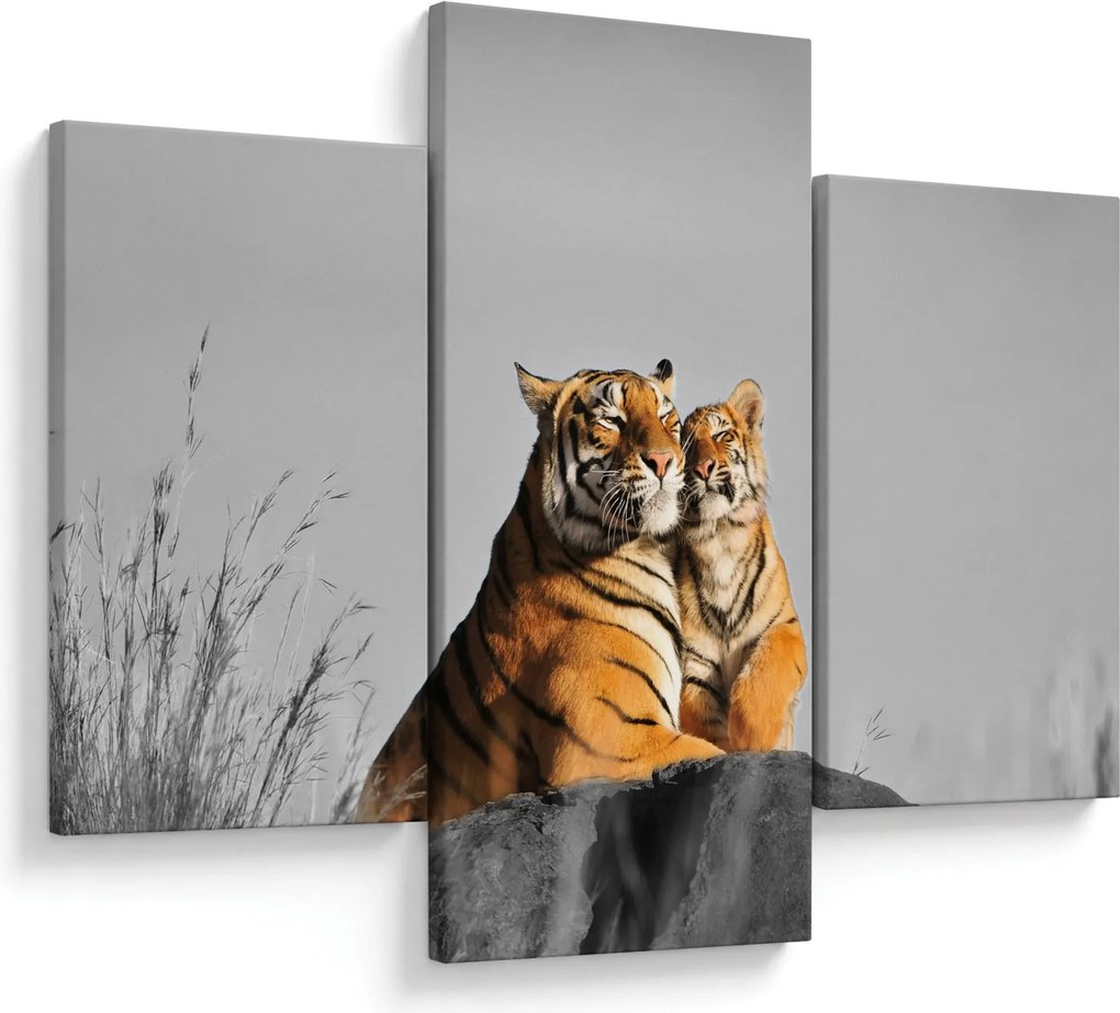 Kép - Tigris és a kölyke, fekete-fehér változat (90x60 cm)