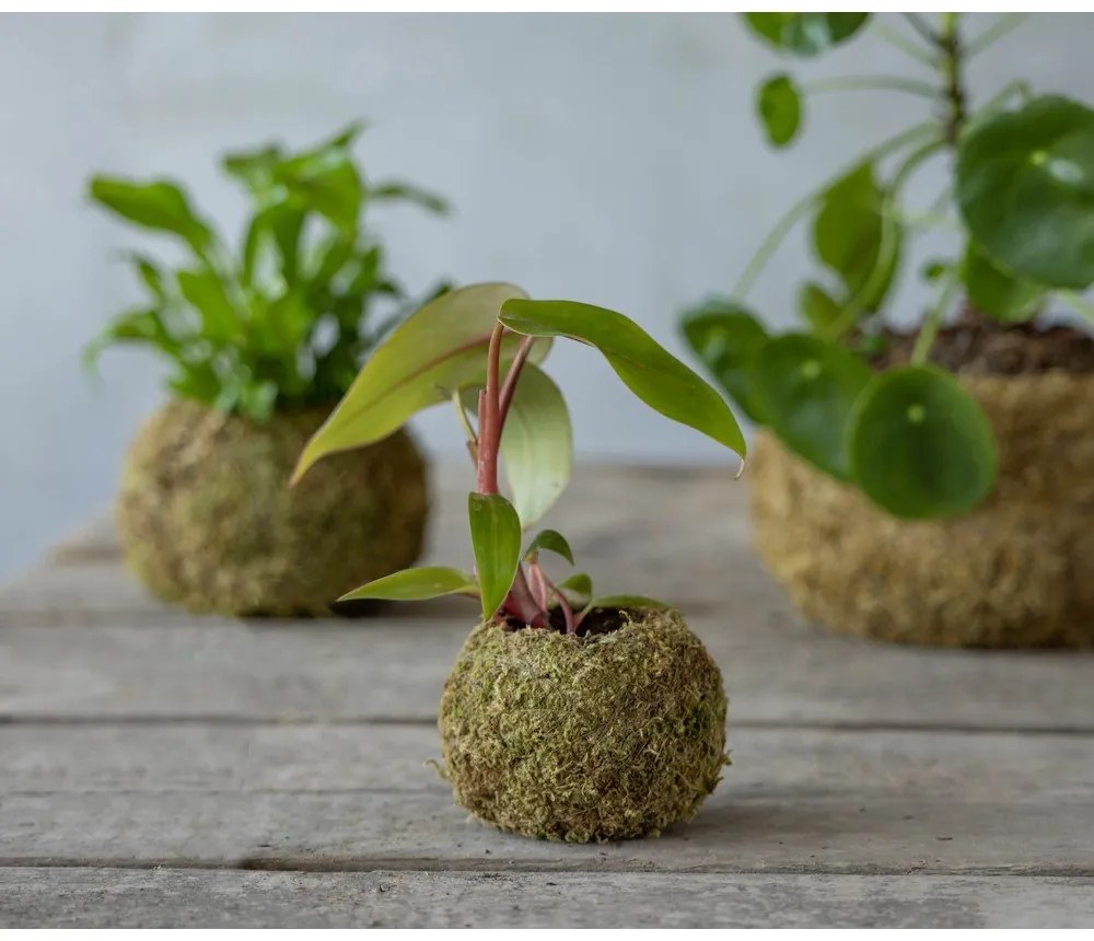 Virágcserép ø 9 cm Kokedama – Esschert Design