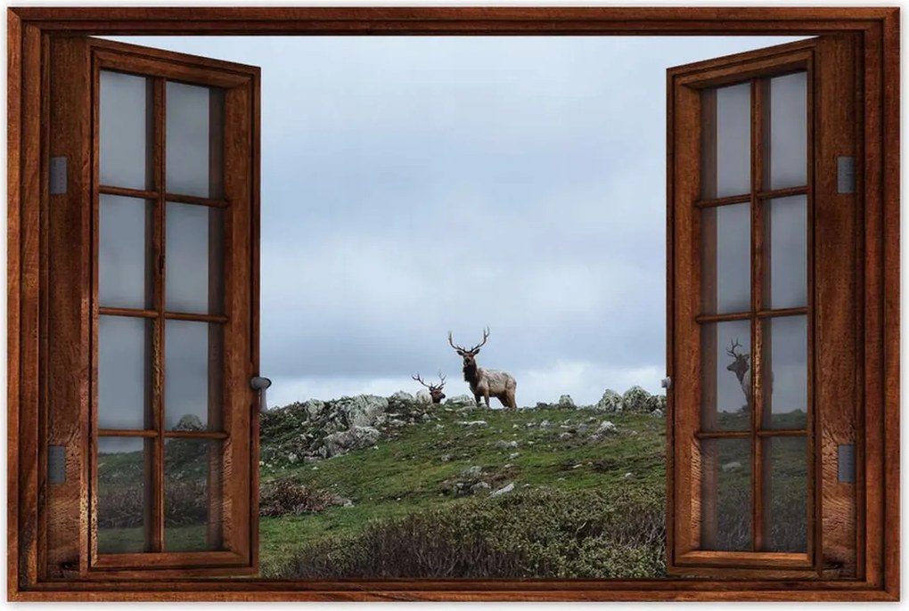 Poszter 60x40 Szarvas felszarvazott