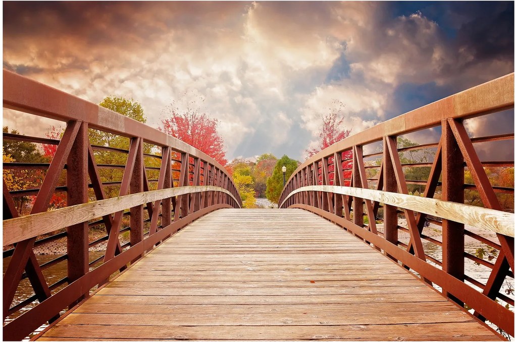 Kép - fahíd (90x60 cm)
