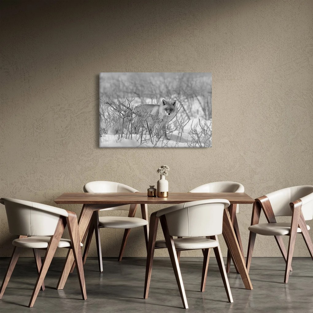 Kép - Róka, fekete, fehér (90x60 cm)