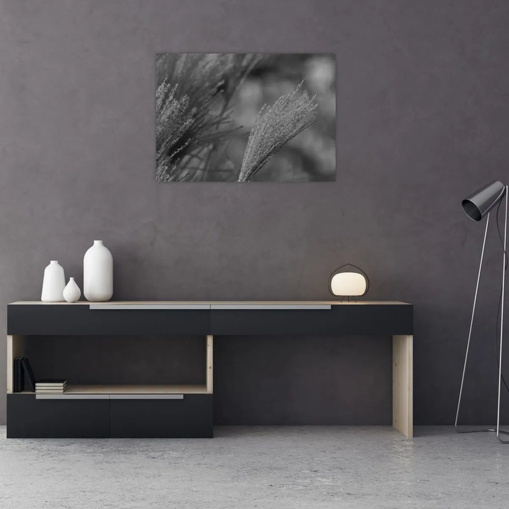 Üveg kép - Szárított pampafű (70x50 cm)