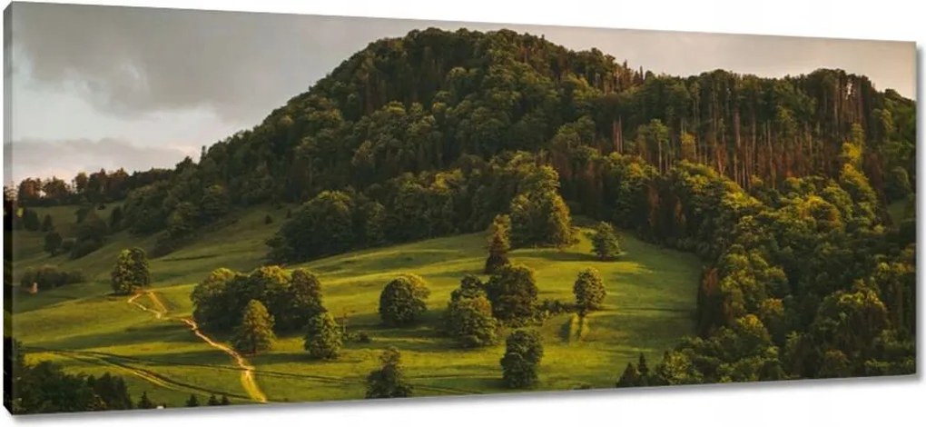 Festmények 100x40 Tájkép Pieniny