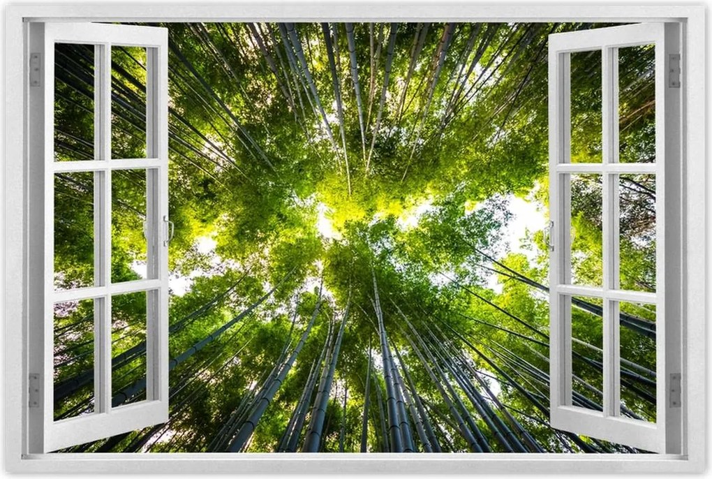 Poszterek 120x80 Bambusz trópusi erdő