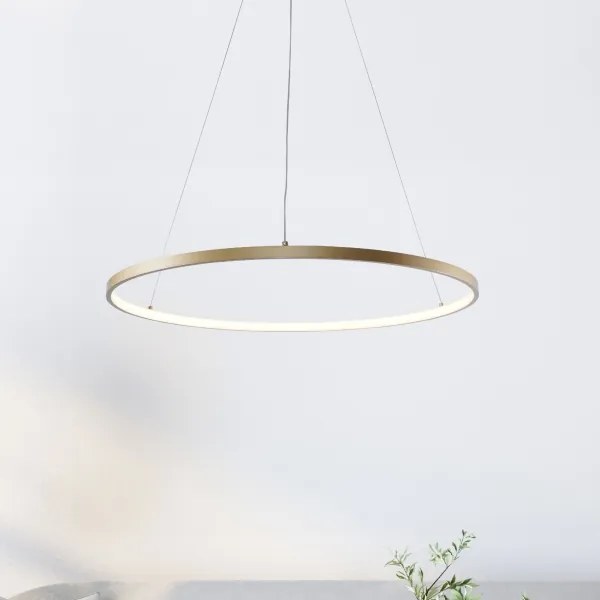 Zuma Line 2023201-GD80 - LED csillár kábellel BRENO LED/36W/230V 3000/4000/6000K