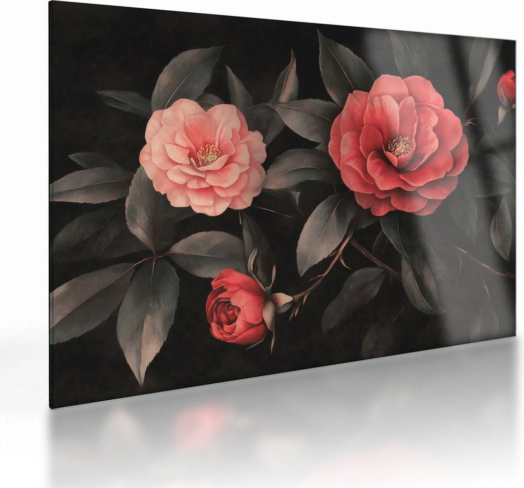Üveg kép - Vörös virágok sötét háttér előtt (70x50 cm)