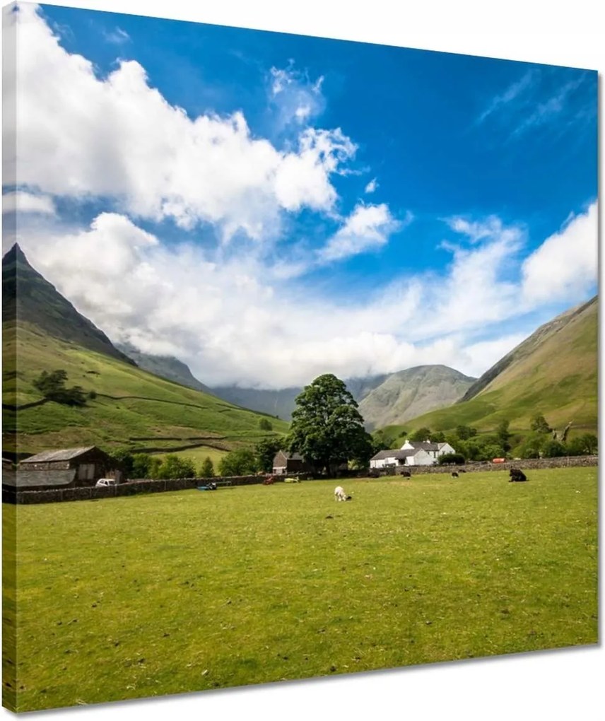 Vászonkép 40x40 Juh legeltetés