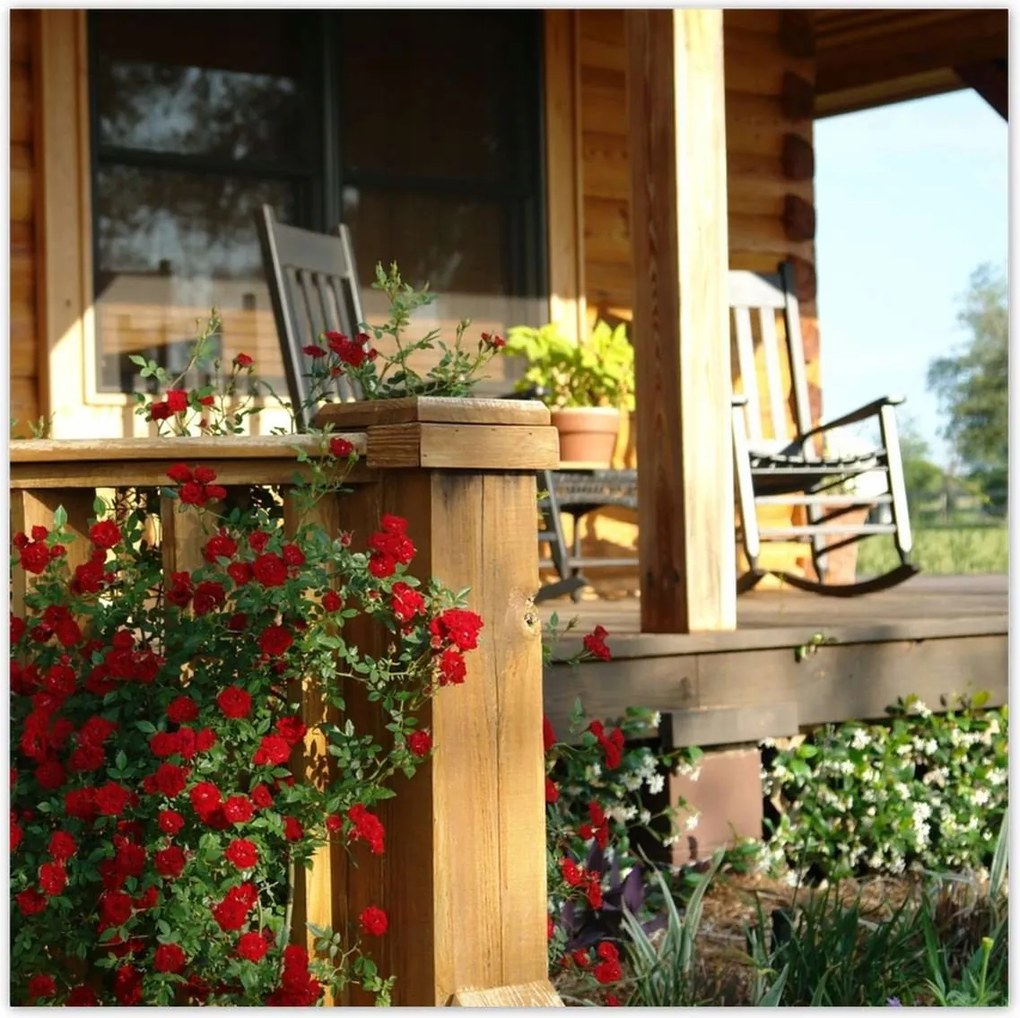 Poszterek 30x30 Fa veranda