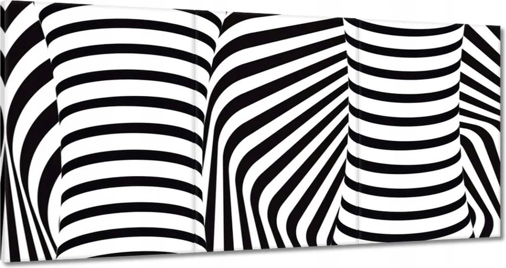 Festmények 180x90 Absztrakt fekete-fehér