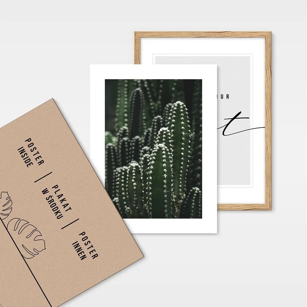 Kép szett 4 db-os 32x42 cm – knor