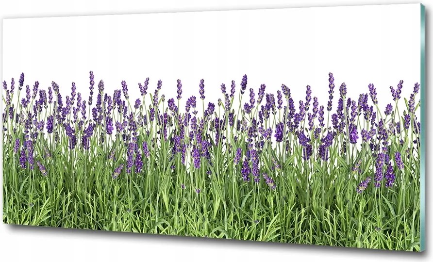 Fotó vászonkép edzett üveg Levendula virágok 125x50