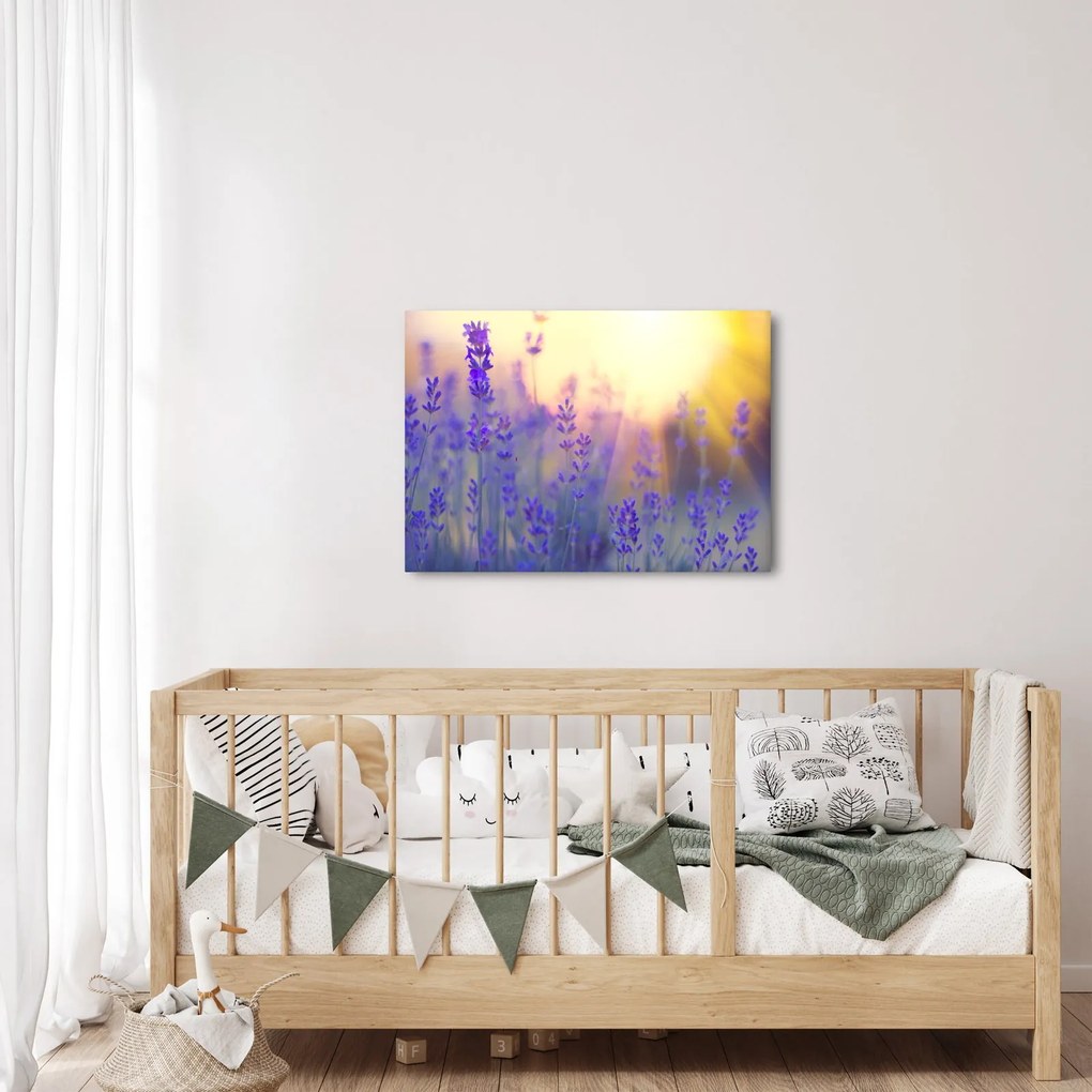 Kép - Levendula (70x50 cm)