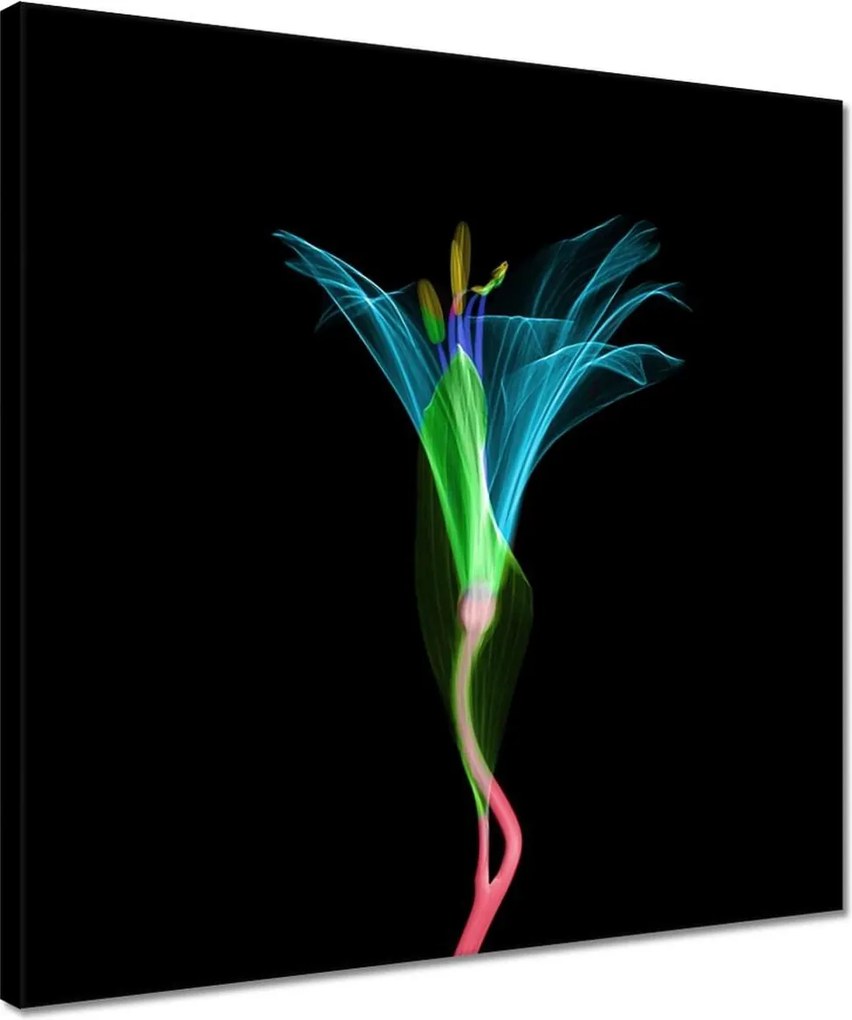 Vászonkép 40x40 Virágok