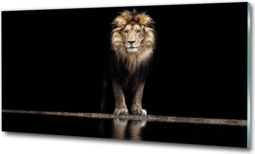 Fotó-kép edzett üveg Oroszlán portré 125x50