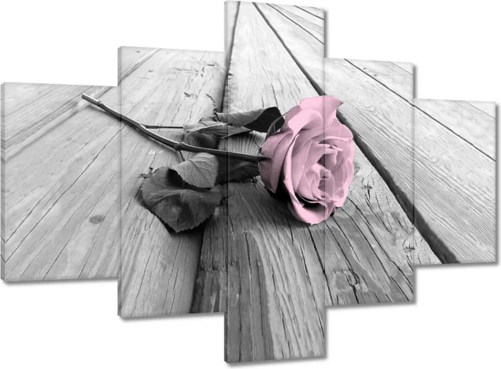 Vászonkép 100x70 Púderrózsaszín Old pink Rose