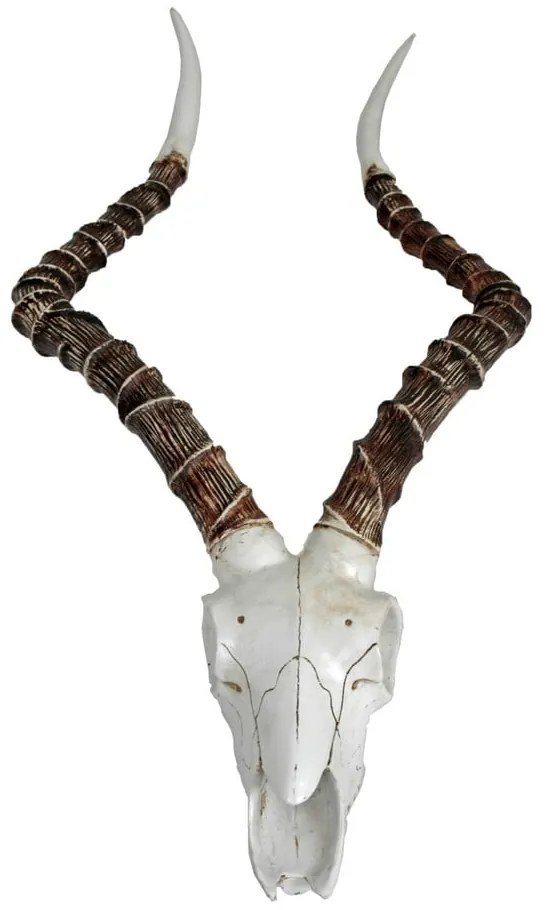 Poligyanta fali dekoráció 33x68 cm Impalak – Deco Pleasure