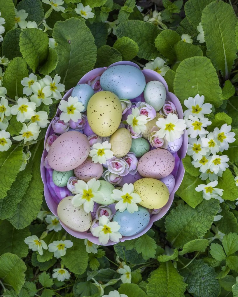 Poszter 40x50cm Húsvéti tojások kosárban 3, Assaf Frank