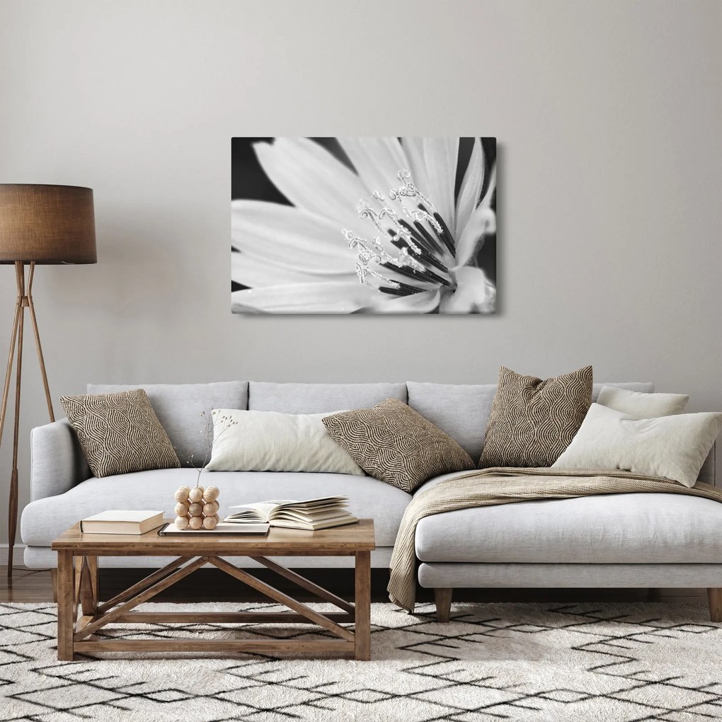 Kép - Fekete-fehér virág (90x60 cm)