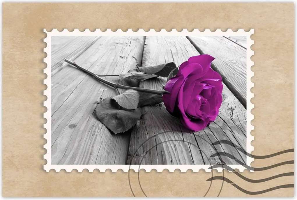 Poszterek 120x80 Lila rózsa