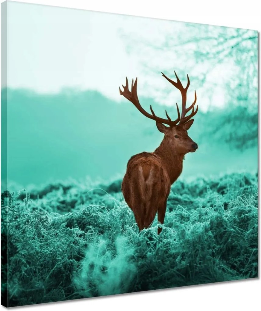 Vászonkép 40x40 Szarvas a türkiz erdőben