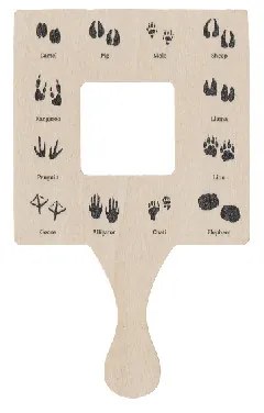 Bogaras felfedező szett gyerekeknek, 6 db-os