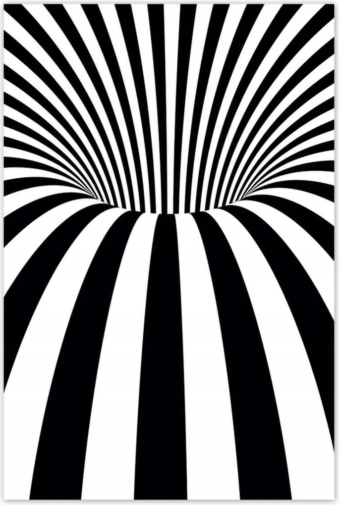 Poszterek 80x120 Absztrakt fekete-fehér