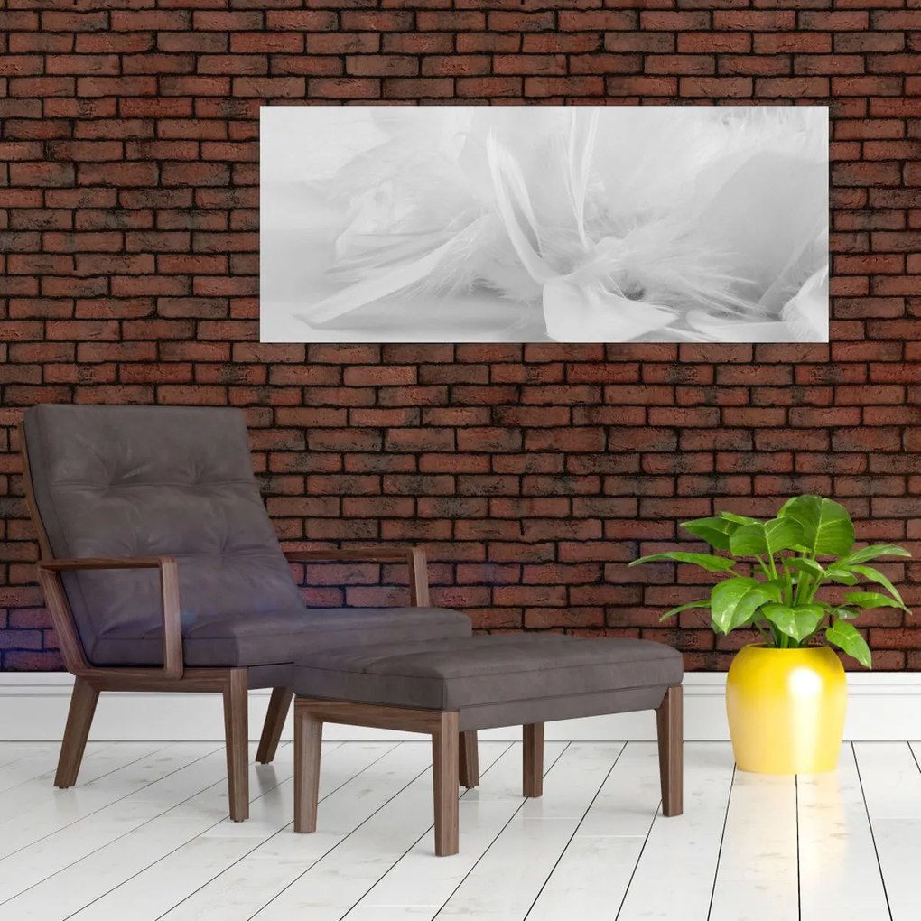 Kép - Tollak (120x50 cm)