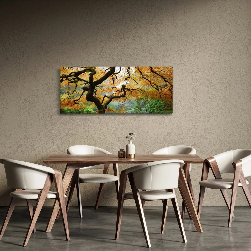Egy sárga japán juhar képe, Portland, Oregon (120x50 cm)