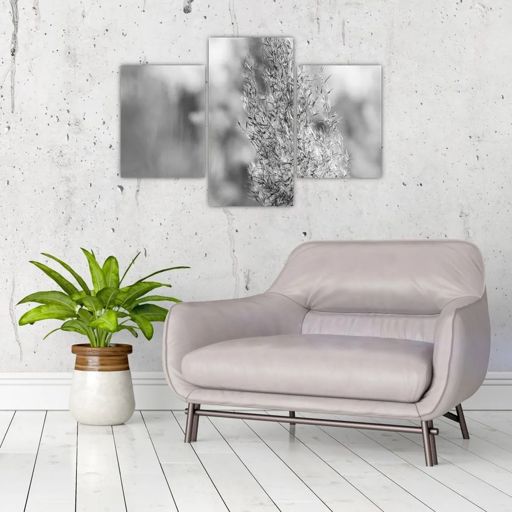 Kép - Boho pampafű (90x60 cm)