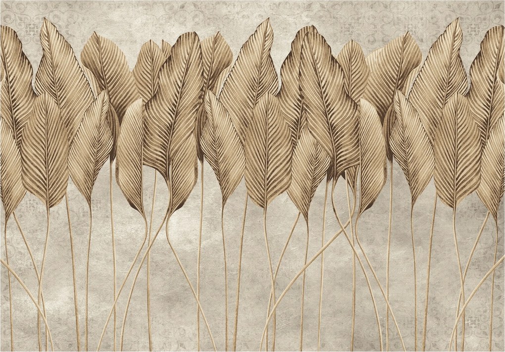 Boho Vinil fotótapéta Tollak Beton Fal 368x254