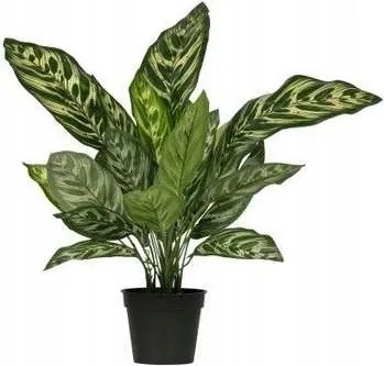 Aglaonema műnövény, 50 cm, Woood