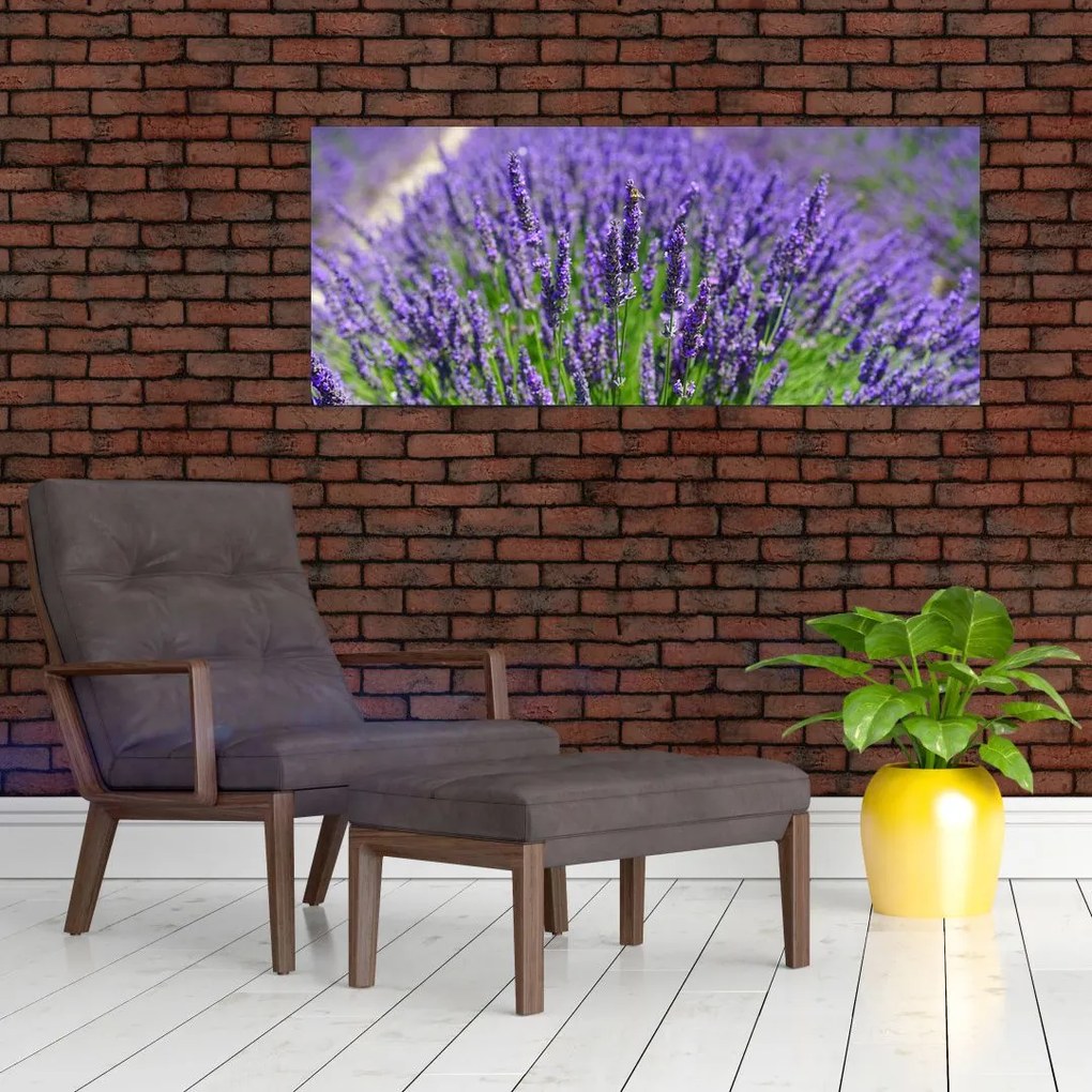 Kép - levandula (120x50 cm)