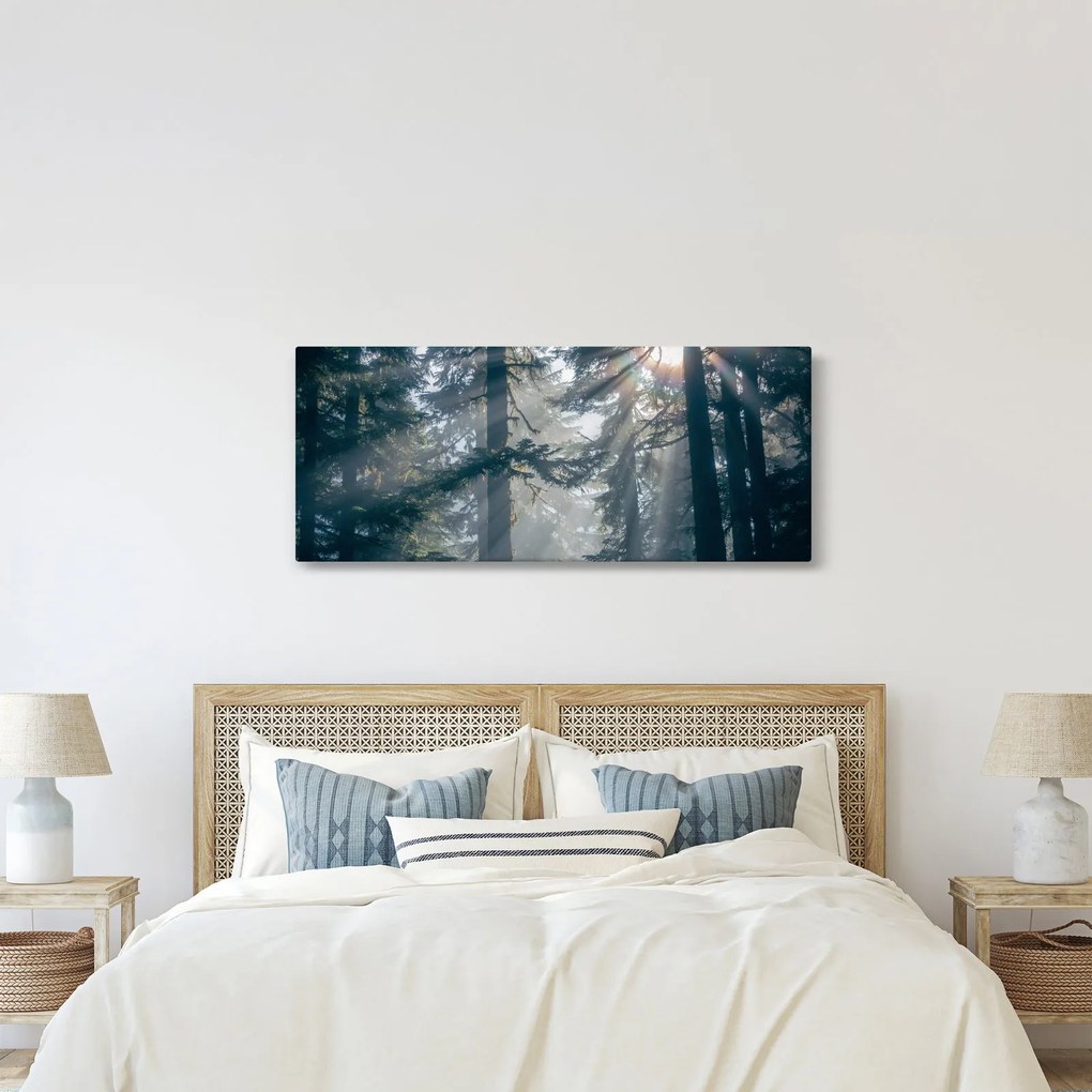 Fák képe a ragyogó nappal (120x50 cm)