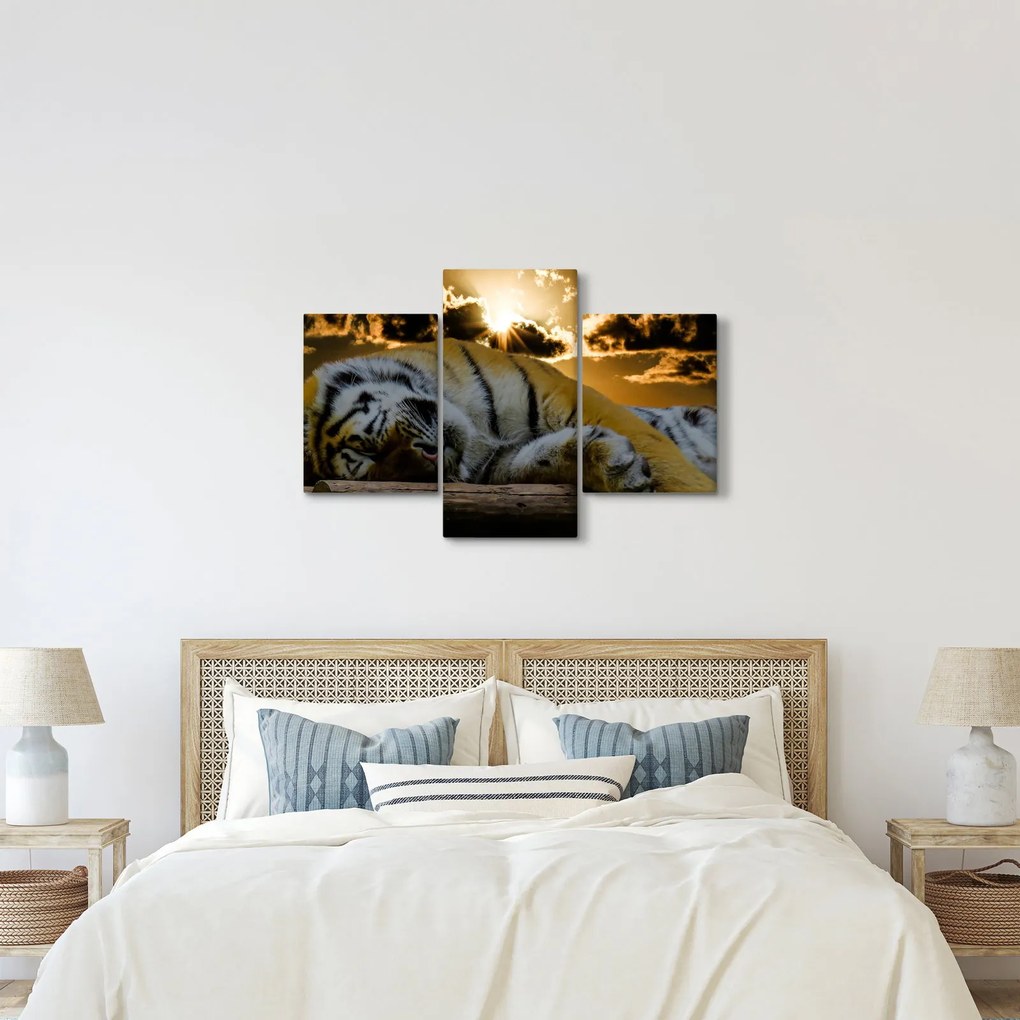 Alvó tigris képe (90x60 cm)