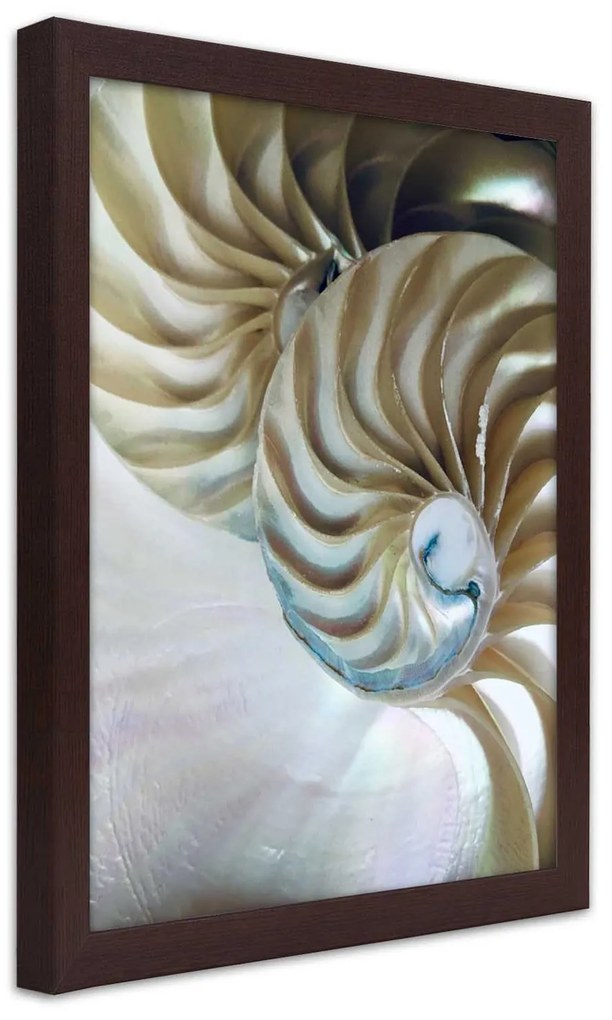 Gario Poszter Egy kagyló belseje A keret színe: Fekete, Méret: 70 x 100 cm