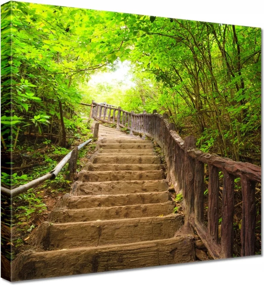 Vászonkép 40x40 Lépcsők az erdőbe