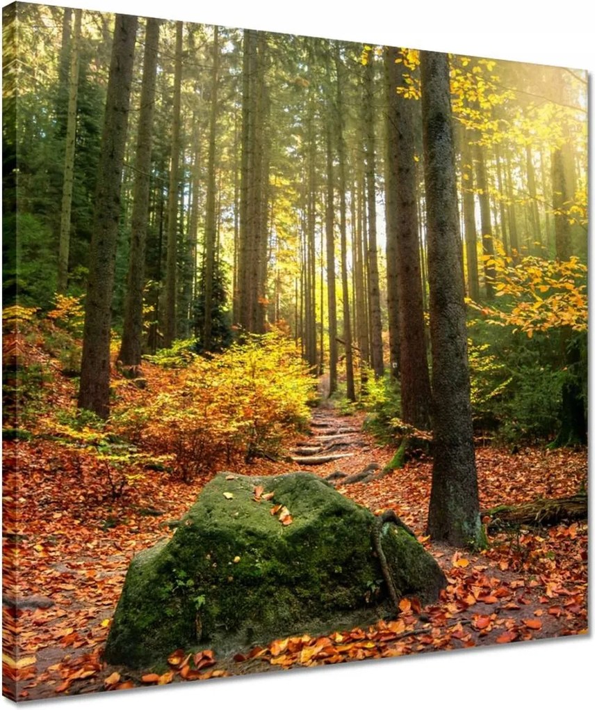 Vászonkép 40x40 Tájkép