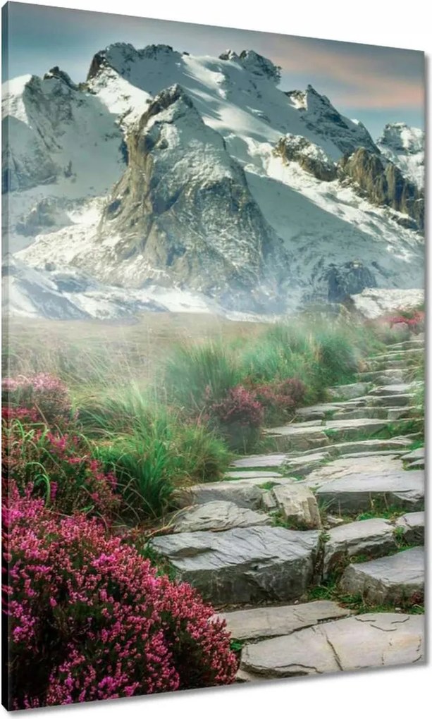 Festmények 70x100 Hegyi kilátás