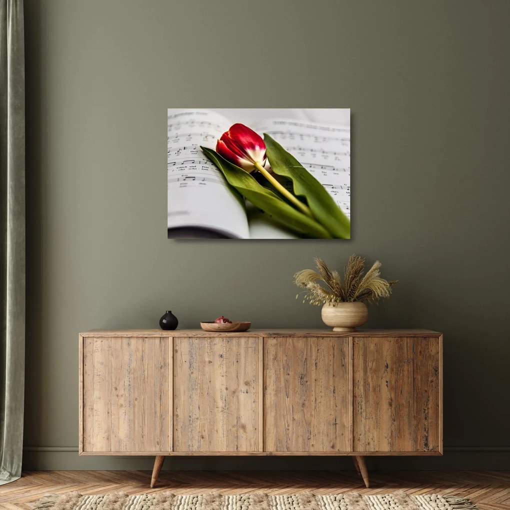 Egy vörös tulipán képe (üvegen) (70x50 cm)