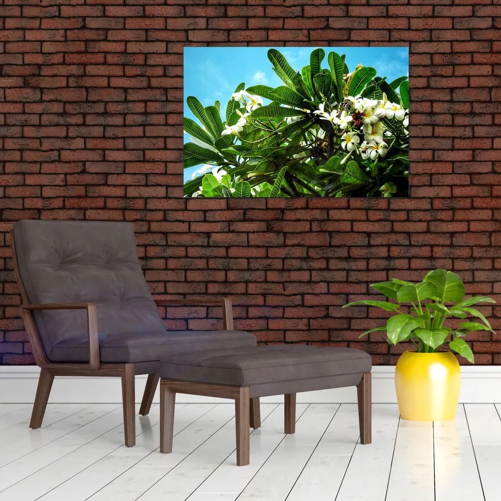 Kép - Plumeria (90x60 cm)