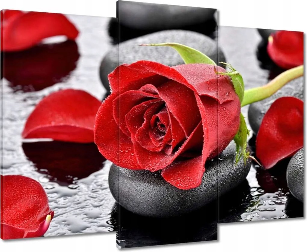 Vászonkép 90x70 Vörös rózsa Neki