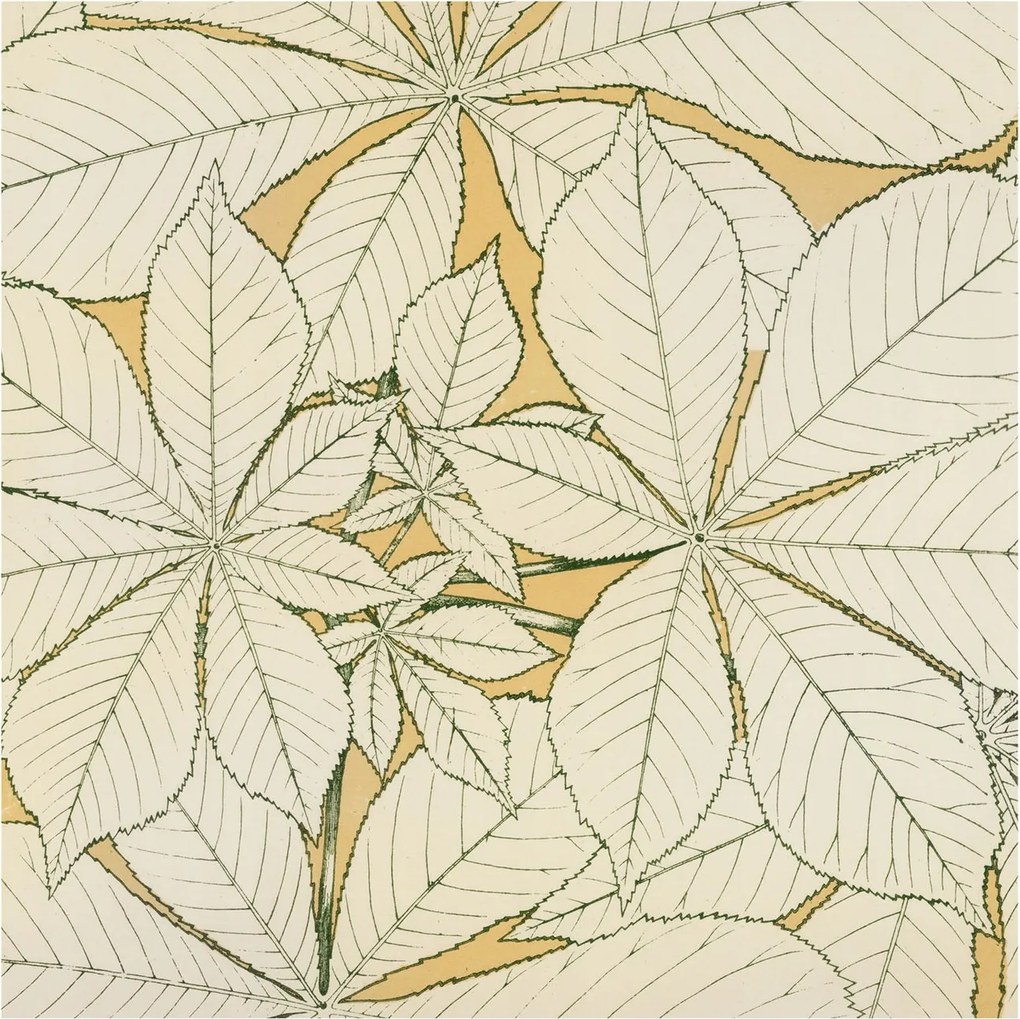 Flizelin fotótapéta Flizelin Design Gesztenye levelek 250x250