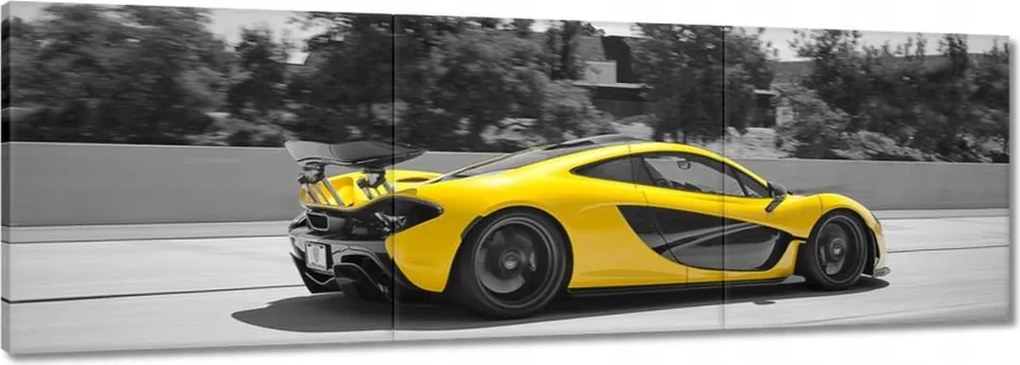 Vászonkép 90x30 Mercedes McLaren P1