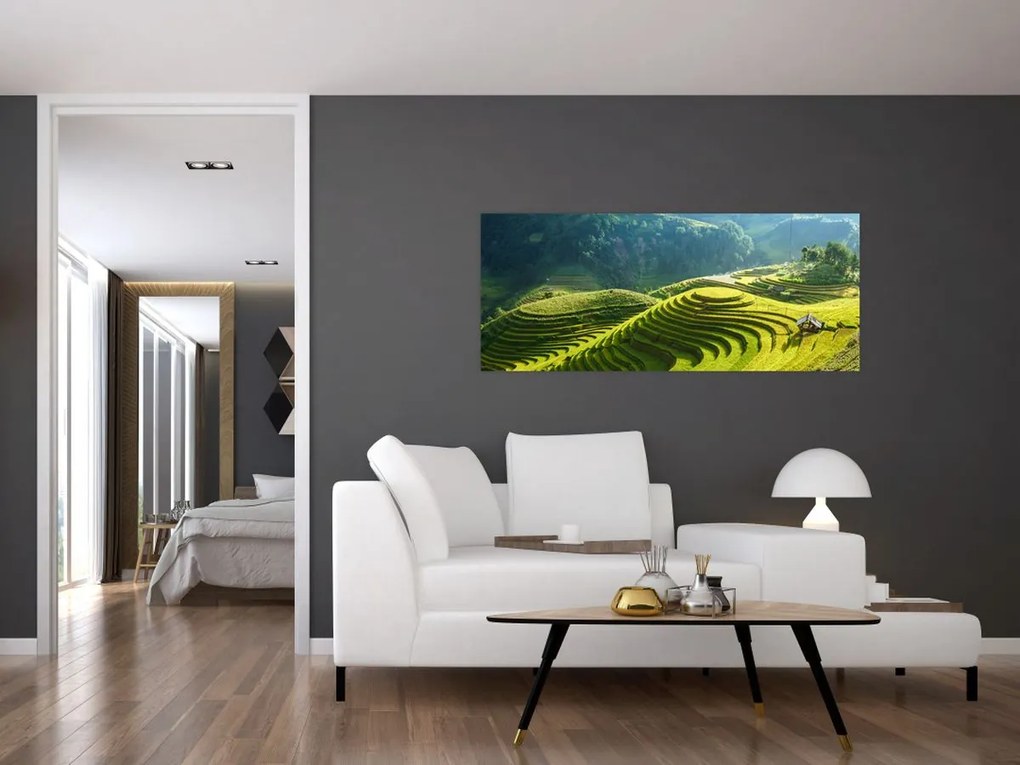 Kép - Rice Terraces koncert (120x50 cm)