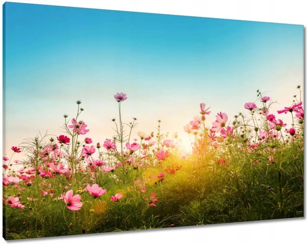 Vászonkép 100x70 Kozmikus virágok